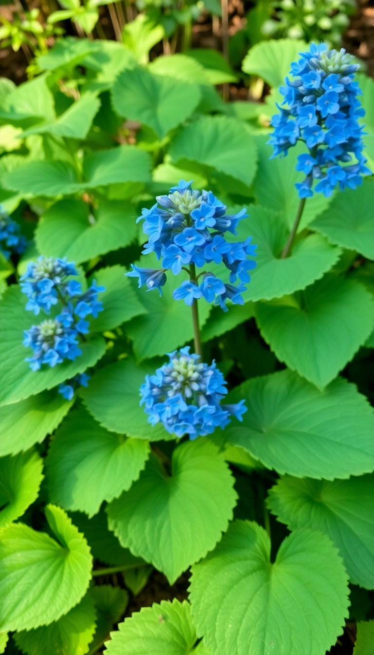 25 Stunning Shade Loving Plants to Elevate Your Front Yard Game (Wait Until You See #12!) - 18. Siberian Bugloss (Brunnera macrophylla)